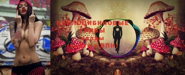 мяу мяу мука Алексин