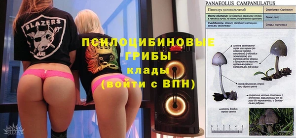 ECSTASY Абинск