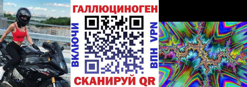 цена Починок Псилоцибиновые грибы Cubensis